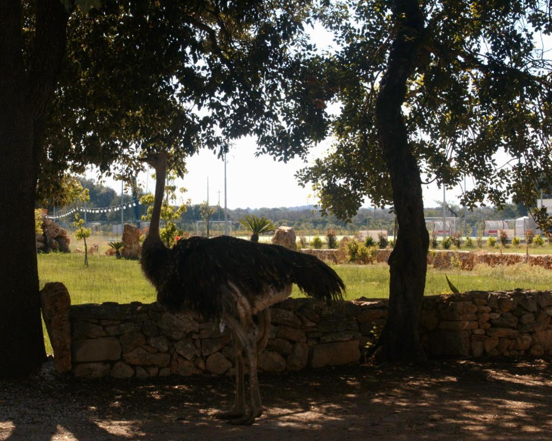 Tenuta Ferraro Галиполи Екстериор снимка